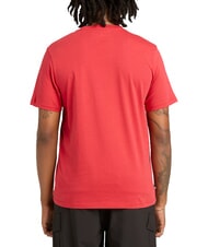 TIMBERLAND KENNEBEC RIVER LINEAR LOGO Cotton T-shirt American beauty - T-shirt - 2