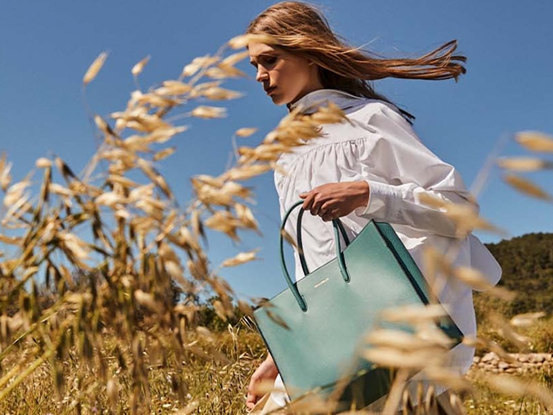 LADYBUGS-generic Sept.24